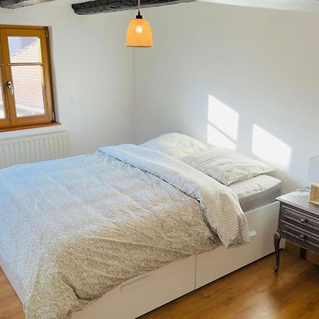 Bien Dans Vos Schlopps Villa Dambach Eksteriør billede
