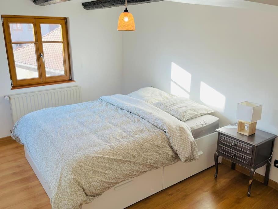 Bien Dans Vos Schlopps Villa Dambach Eksteriør billede