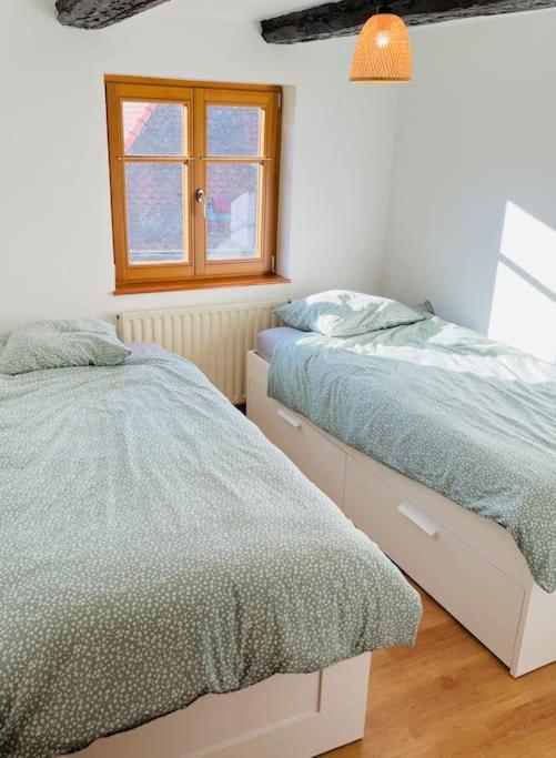Bien Dans Vos Schlopps Villa Dambach Eksteriør billede